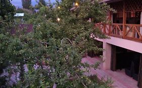 Guest House Albatros