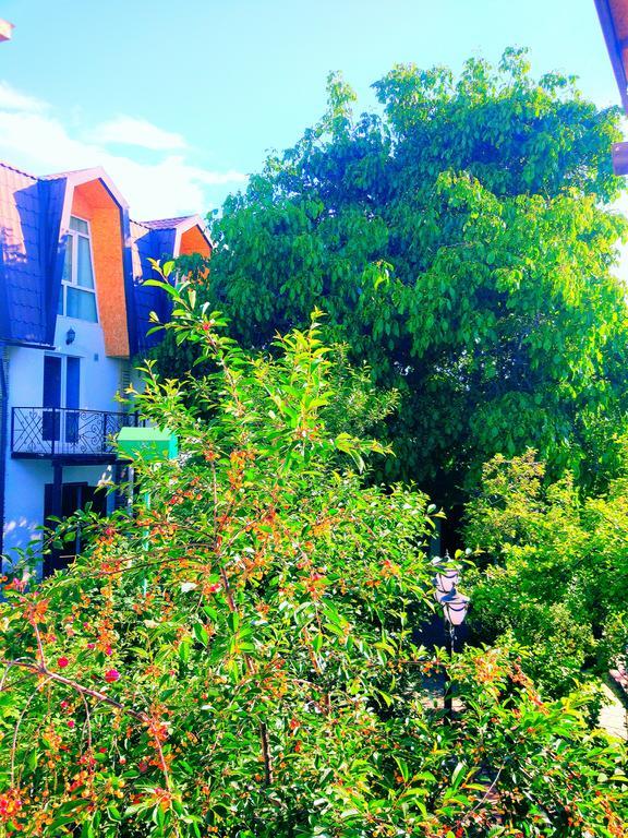Guest House Albatros Чолпон-Ата Экстерьер фото